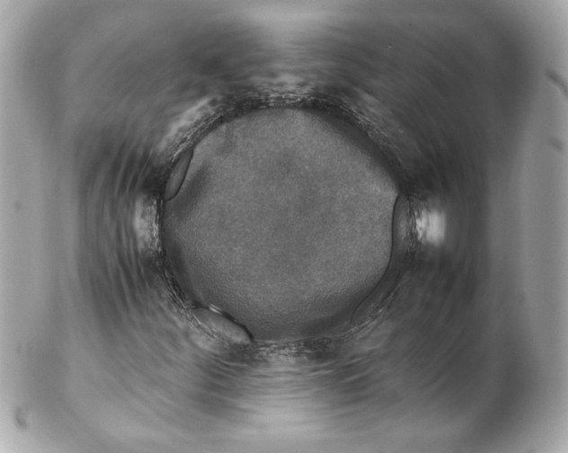 X0000102251252200808151809