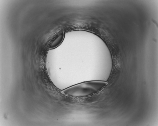 X0000102251253200808151809