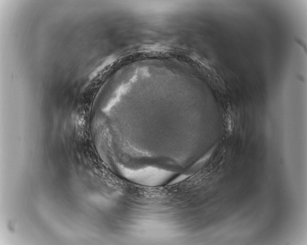 X0000102251254200808151809