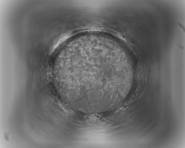 X0000102251255200808151809