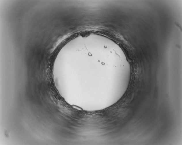 X0000102251256200808151809