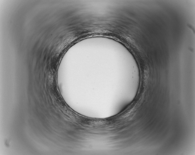 X0000102251257200808151809