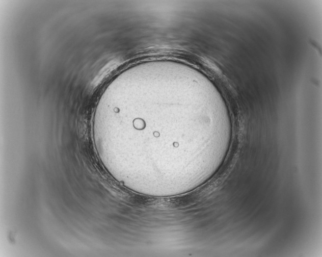 X0000102251259200808151809