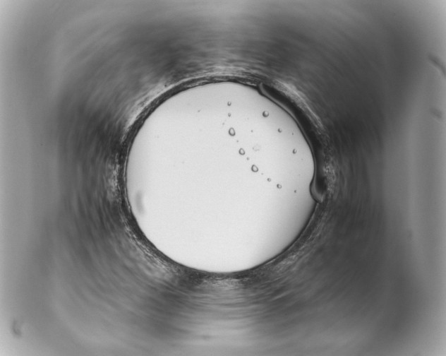 X0000102251260200808151809