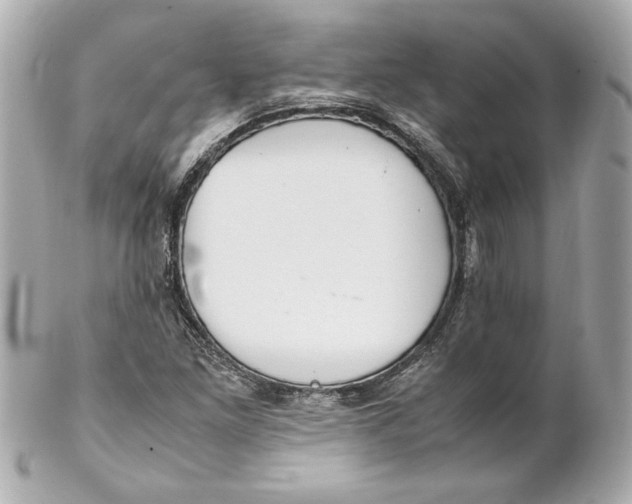 X0000102251261200808151809