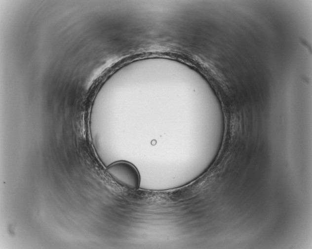 X0000102251262200808151809