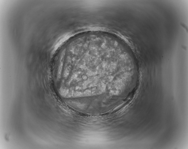 X0000102251263200808151809