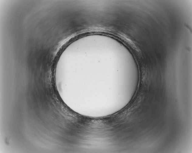 X0000102251264200808151809