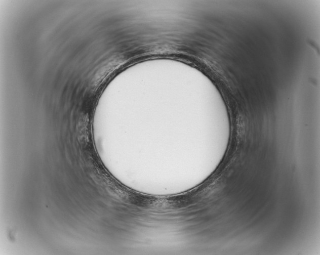 X0000102251265200808151809