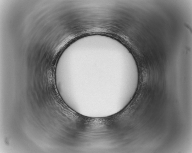 X0000102251266200808151809