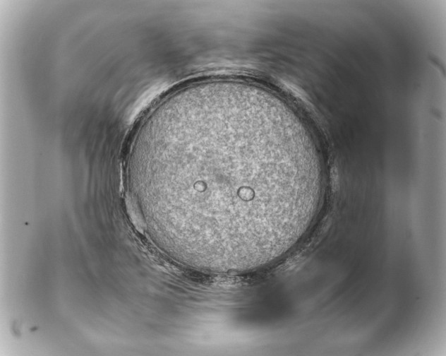 X0000102251267200808151809