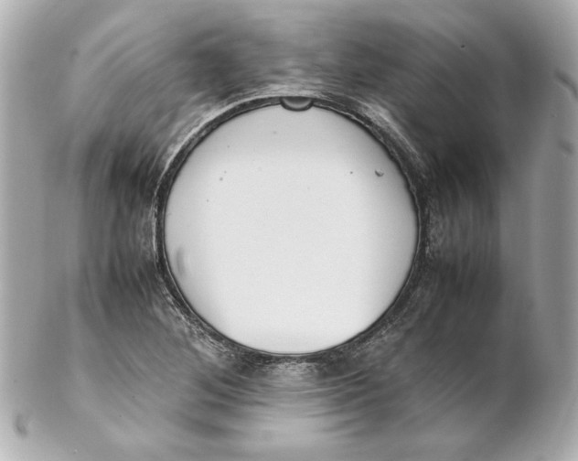 X0000102251268200808151809