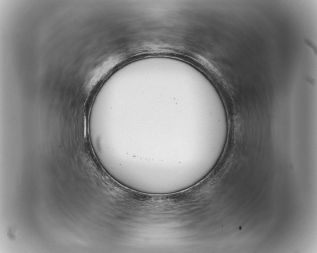 X0000102251269200808151809