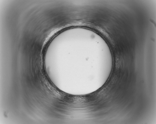 X0000102251270200808151809