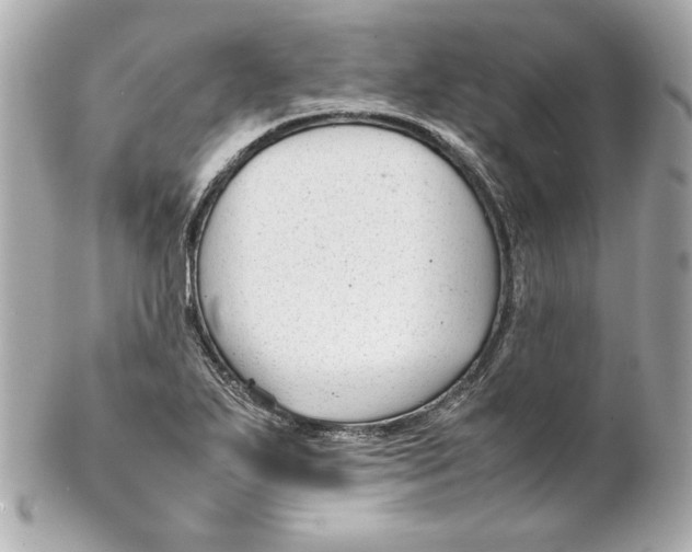 X0000102251271200808151809