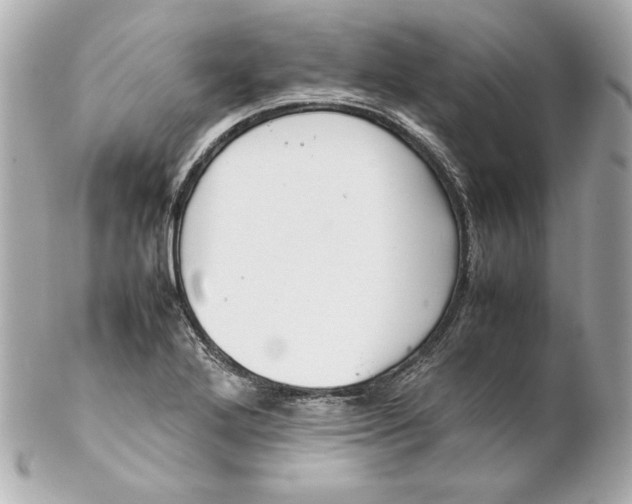 X0000102251272200808151809