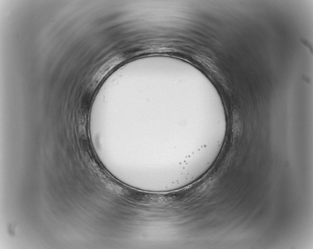 X0000102251273200808151809