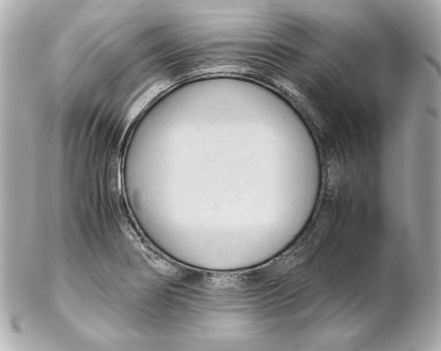 X0000102251274200808151809