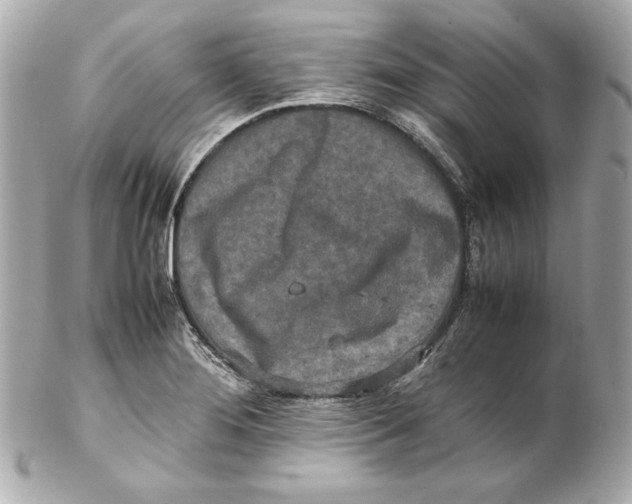 X0000102251276200808151809