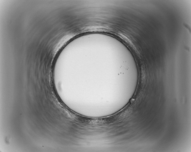 X0000102251277200808151809