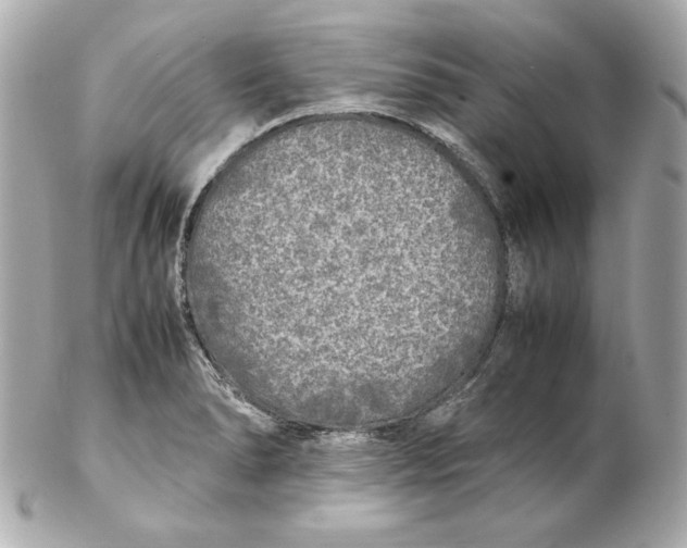 X0000102251278200808151809