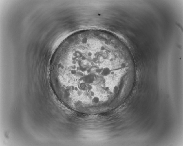 X0000102251279200808151809