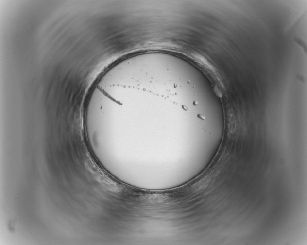 X0000102251280200808151809