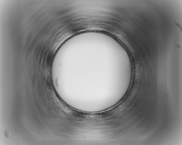 X0000102251281200808151808