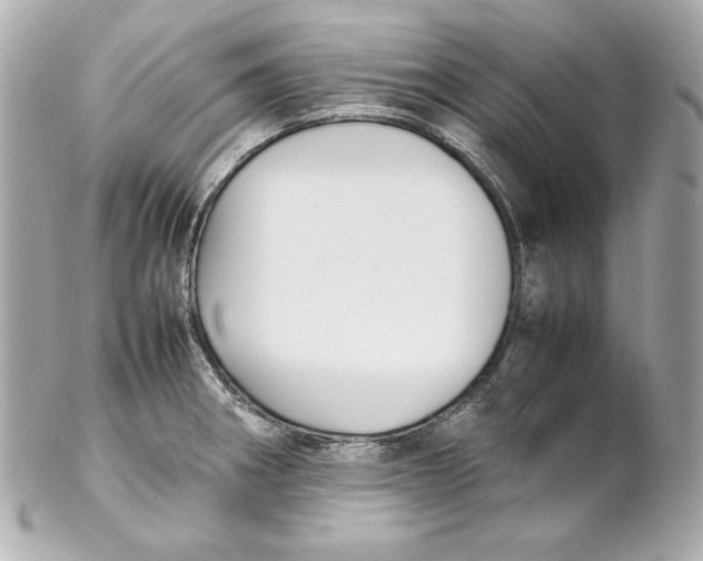 X0000102251282200808151808