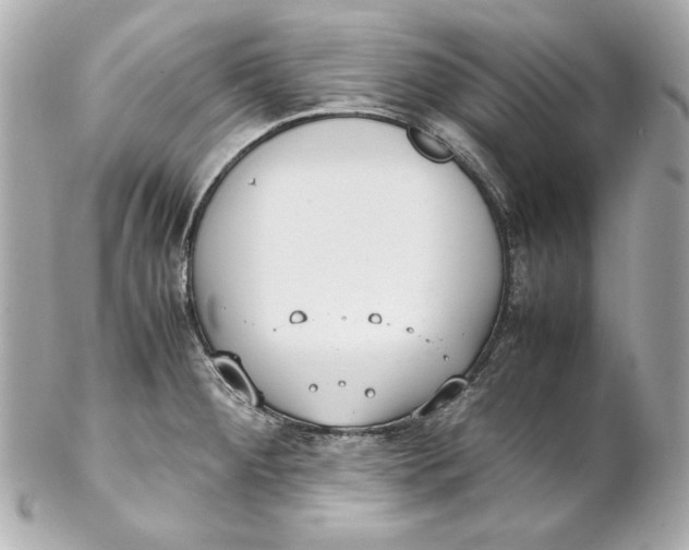 X0000102251284200808151808