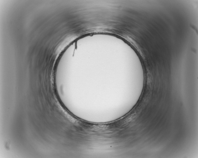 X0000102251285200808151808