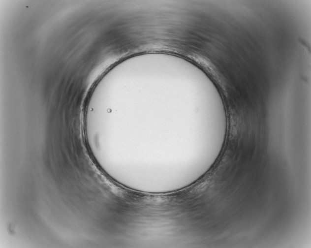 X0000102251286200808151808