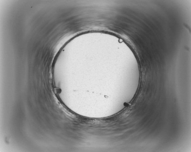 X0000102251287200808151808