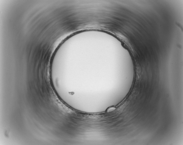 X0000102251288200808151808