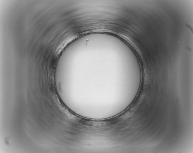 X0000102251289200808151808