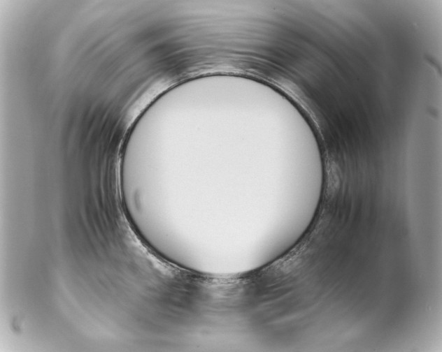 X0000102251290200808151808