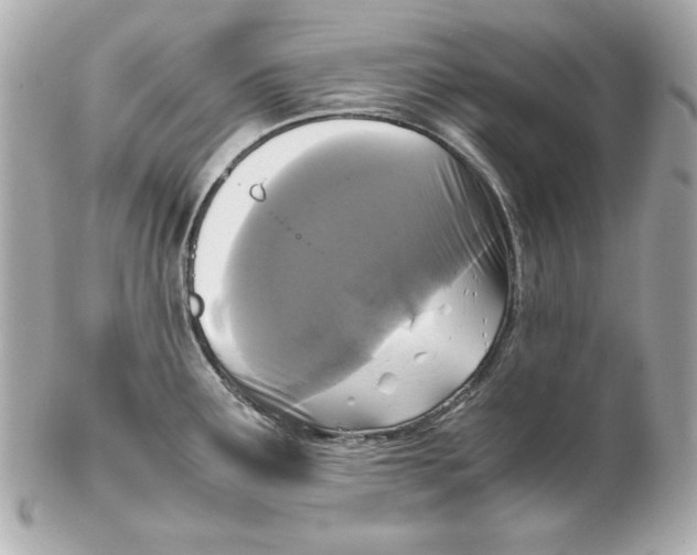 X0000102251291200808151808