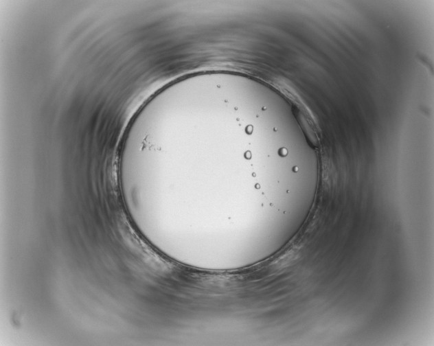 X0000102251292200808151808