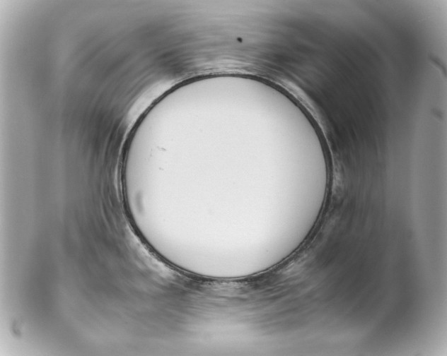 X0000102251293200808151808