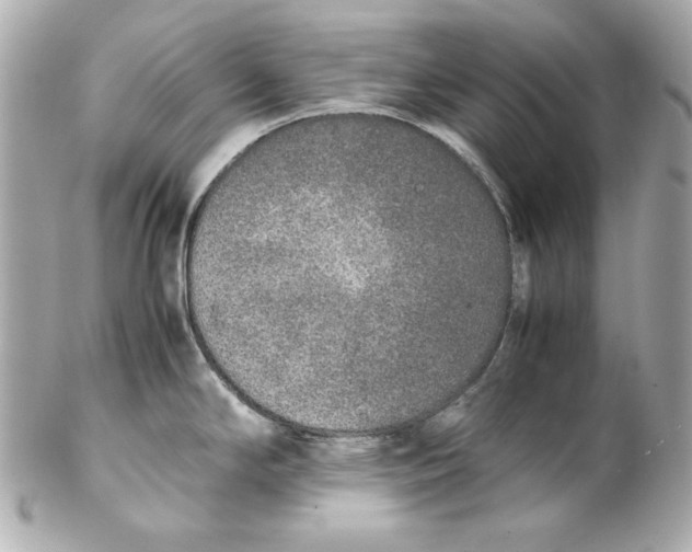 X0000102251294200808151808