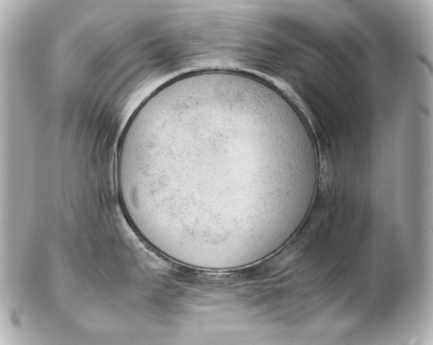 X0000102251295200808151808