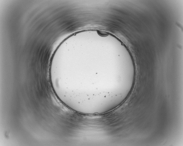 X0000102251296200808151808