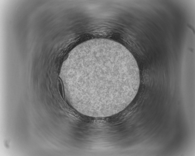 X0000102251297200808151807