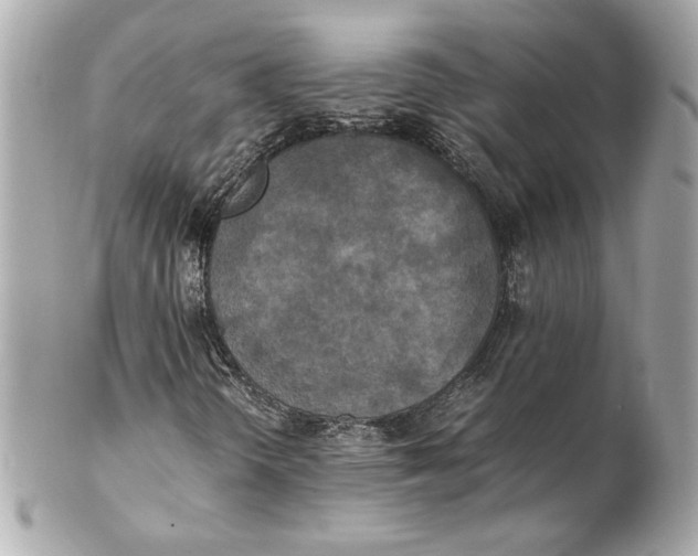 X0000102251298200808151807