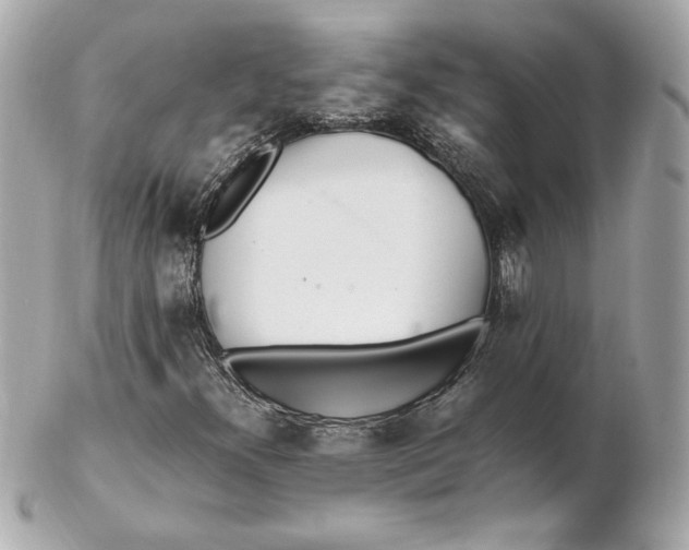 X0000102251300200808151807