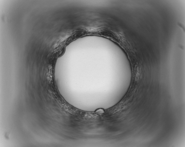 X0000102251301200808151807