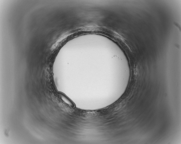 X0000102251304200808151808