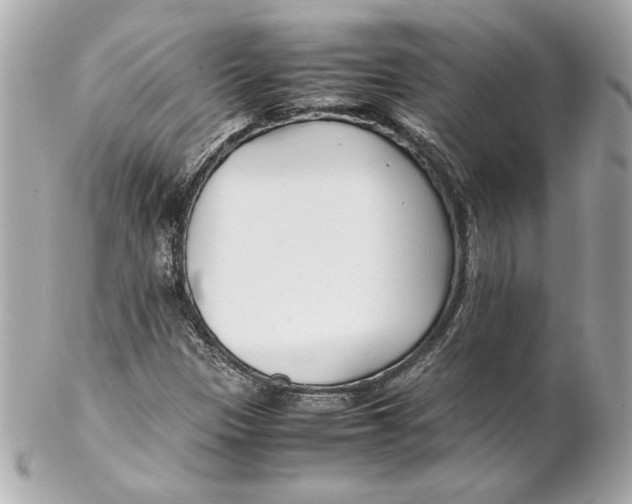 X0000102251305200808151808