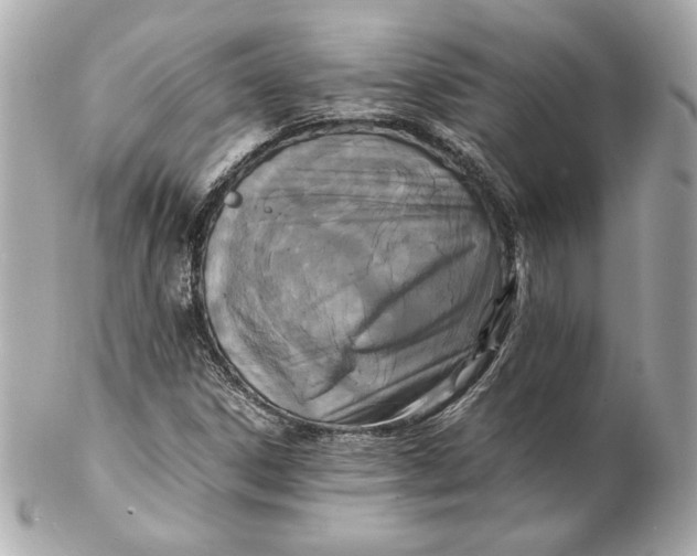 X0000102251306200808151808