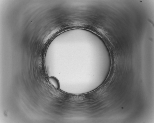 X0000102251307200808151808